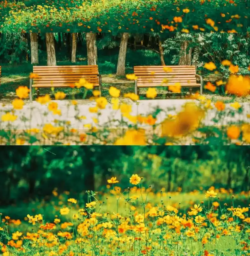 嗨玩国庆！十一假期北京旅游攻略来了