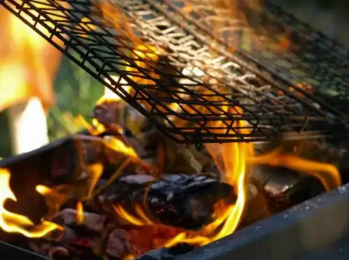 从遗产日到世界遗产：彩虹之国的文化记忆与自然奇迹