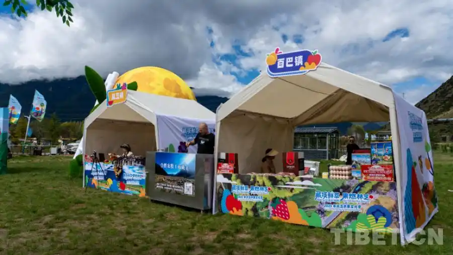 西藏林芝：一场高原果香与人文盛宴的完美邂逅