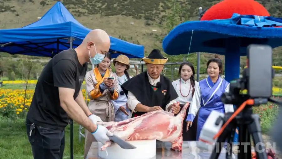 西藏林芝：一场高原果香与人文盛宴的完美邂逅