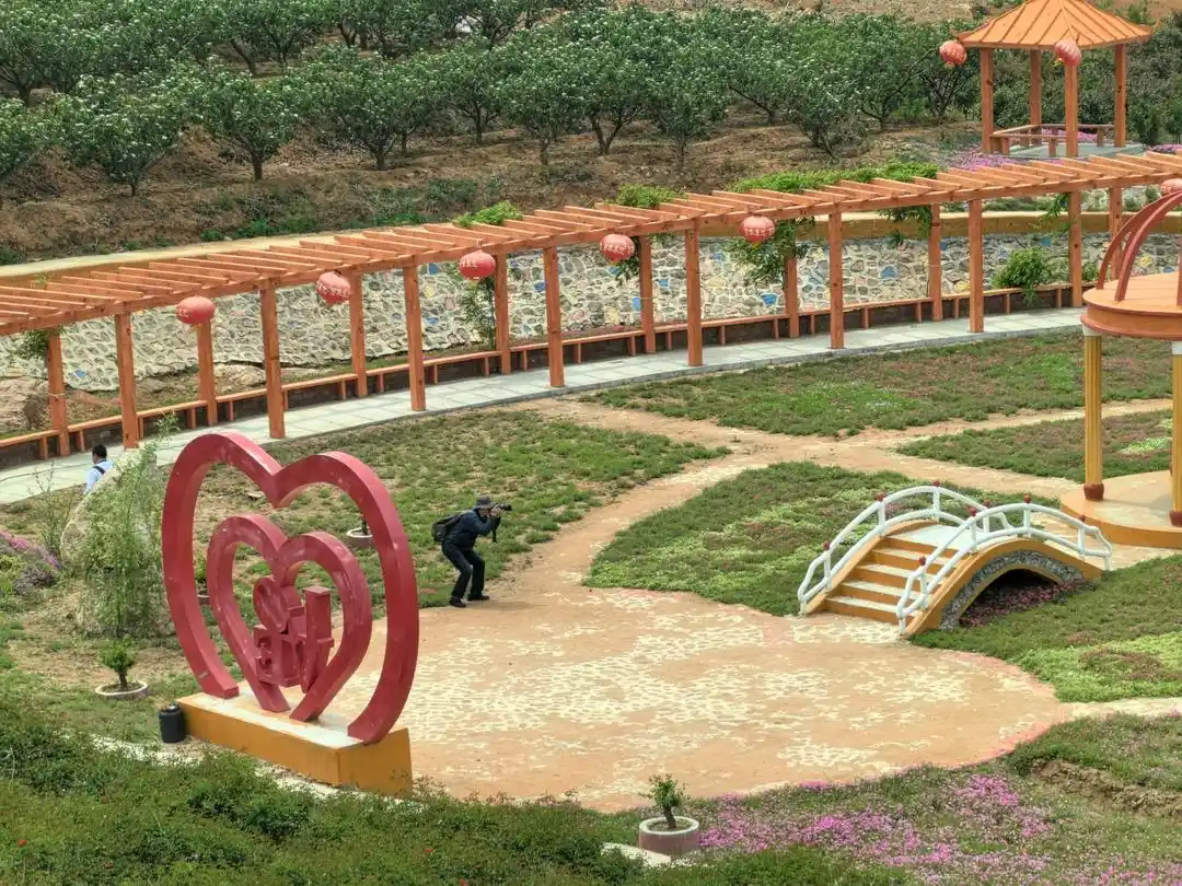 假日观③｜一个“野生”网红景点的“转正”之路