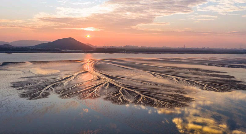 从天津出发！国庆邮轮出行热度高