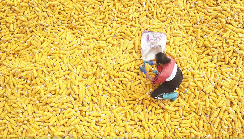 从天津出发！国庆邮轮出行热度高