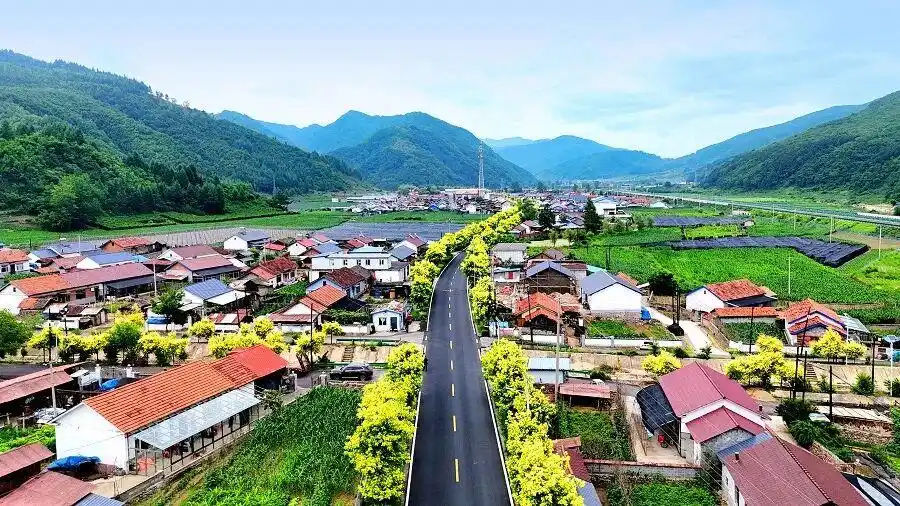 假期租车消费观察：异地还车更灵活更优惠
