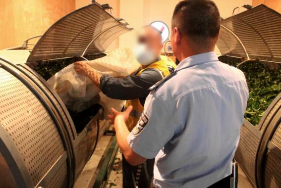 一杯清茶，如何成为高墙内的心理健康密码 |“好故事”展播