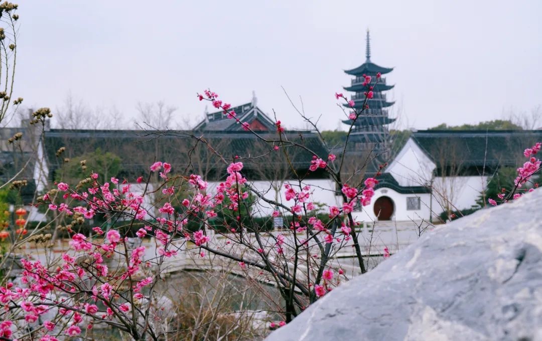 青浦不远，美好更近！这个周末，跟着音乐来旅行，这些地方不容错过~