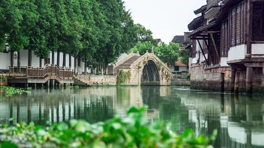 青浦不远，美好更近！这个周末，跟着音乐来旅行，这些地方不容错过~