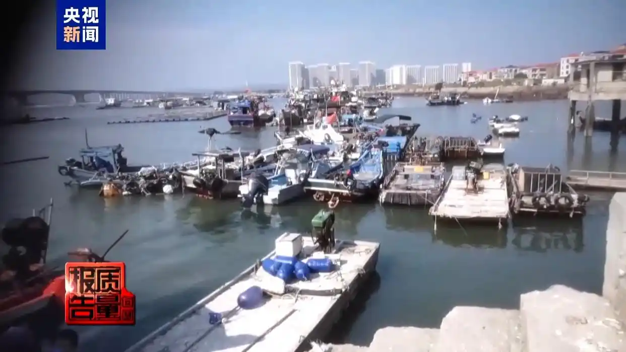 每周质量报告丨非法包船登岛成公开生意 揭露无人岛旅游乱象