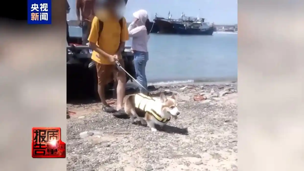 每周质量报告丨非法包船登岛成公开生意 揭露无人岛旅游乱象