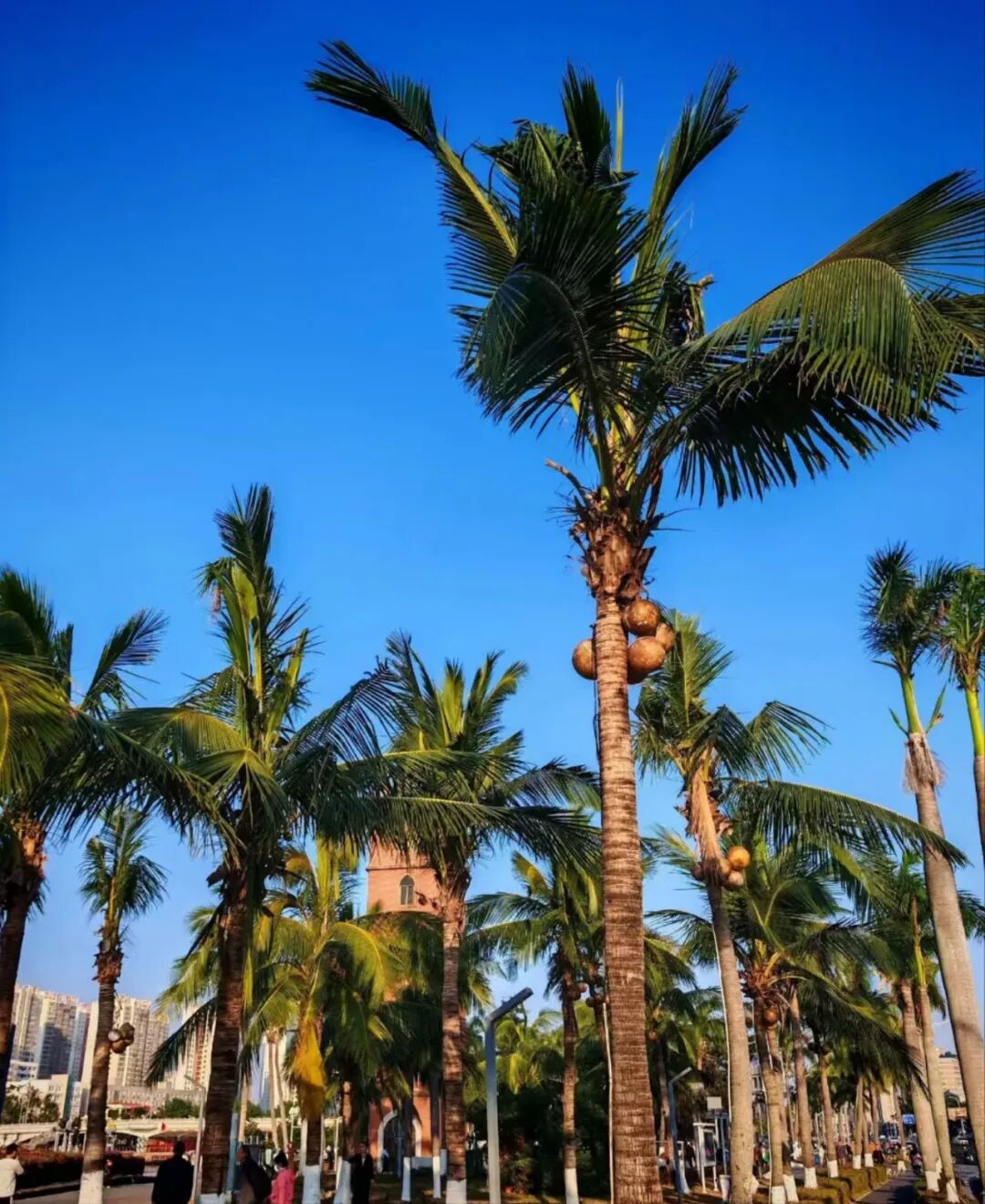 新增航线2条！庆阳机场2025年冬航季航班时刻表