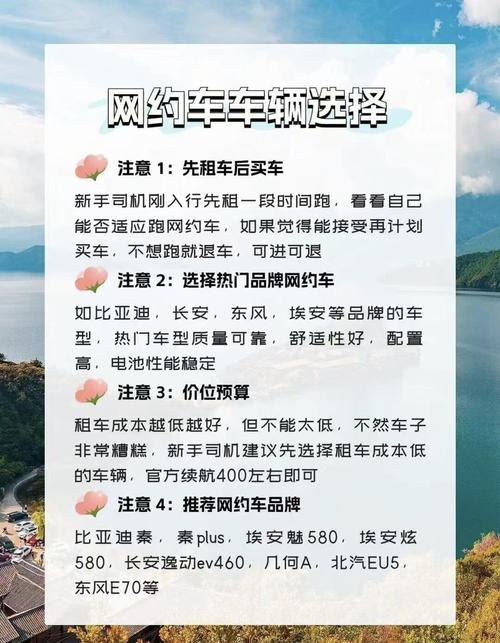 新手租车应该选择什么车型