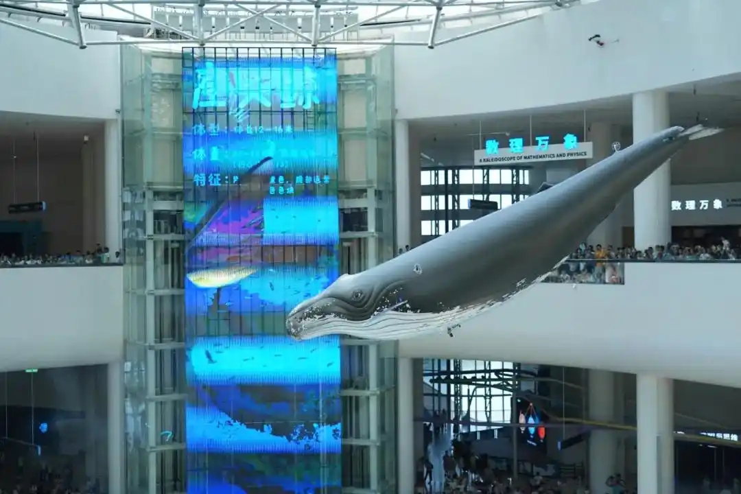 手快有手慢无，广东科普嘉年华门票免费送！