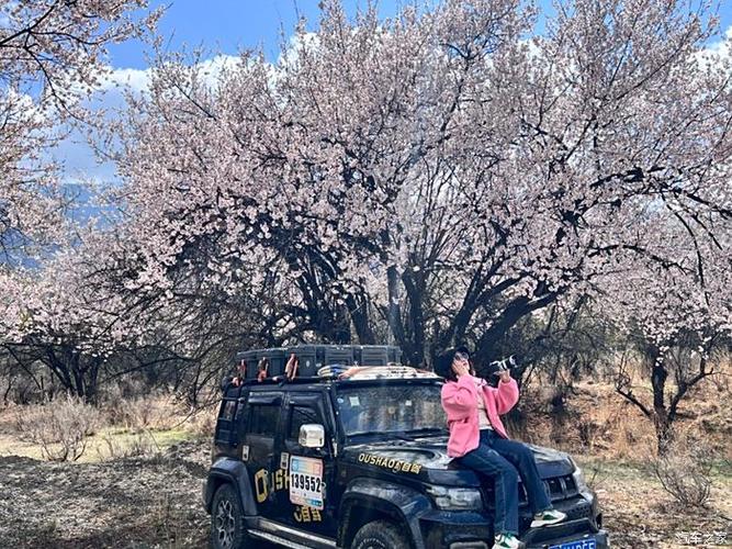 自驾游如何体验