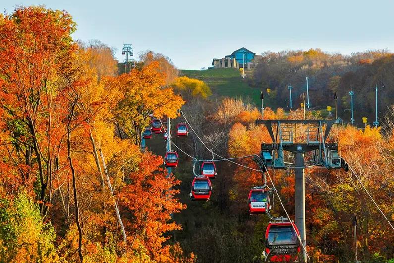 大众点评“城市必打卡榜”，带你玩转吉林宝藏景点！