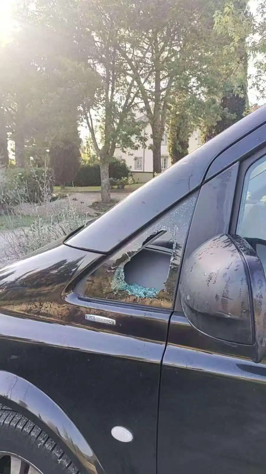 女子提前半年规划欧洲蜜月游，抵欧后导游却失联，回应：证件被偷后遭海关扣留，会退款