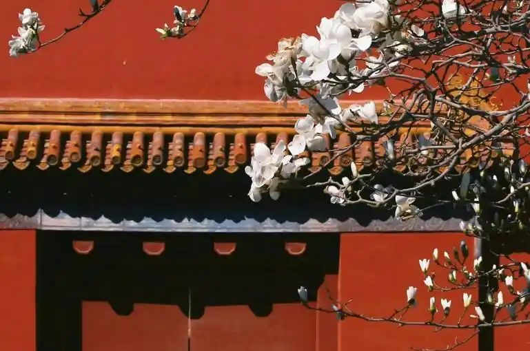 2025 北京旅行社推荐｜北京珈程国旅再上榜