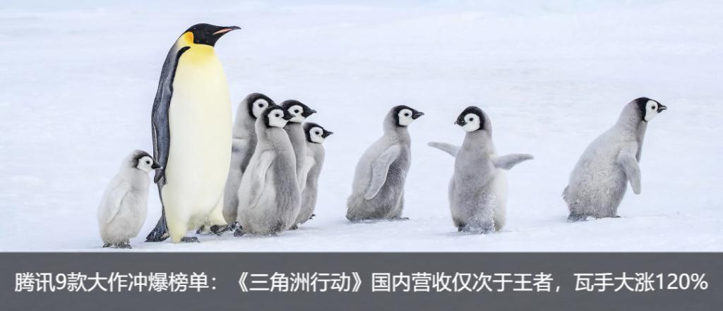 7个人抢1张门票，拳头游戏这新作一上线就火成这样？