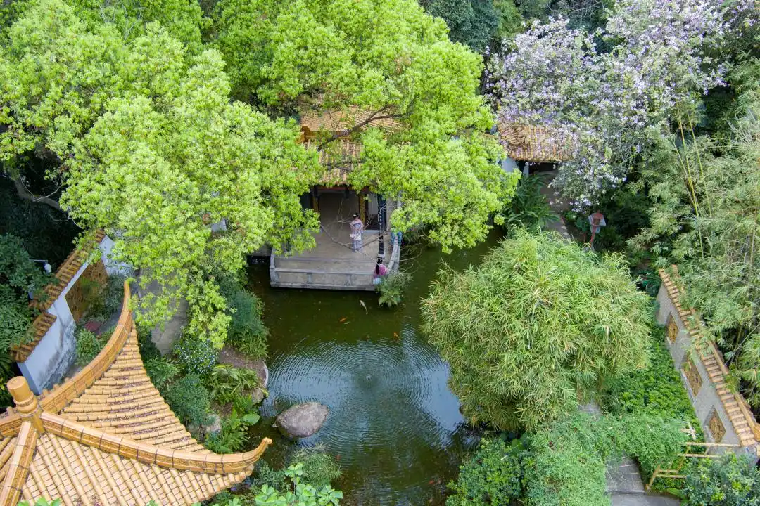 共享全运喜悦，广州公园景区将发放75.6万张免费门票