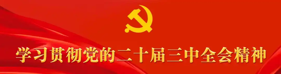 颍州企明星 服务领跑者｜规上服务业企业巡展（十二）：阜阳万达环球国际旅行社有限责任公司