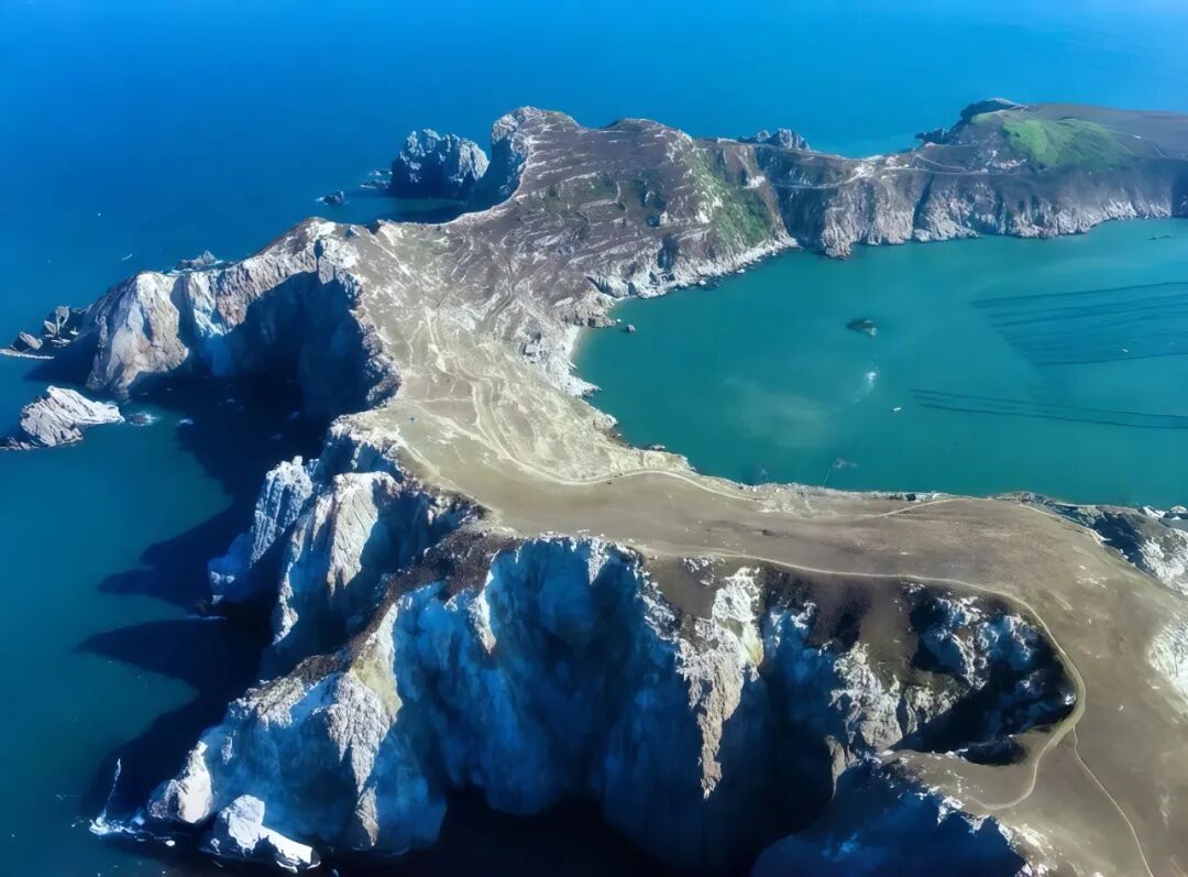 第一批“白人度假”的中产，已经后悔了