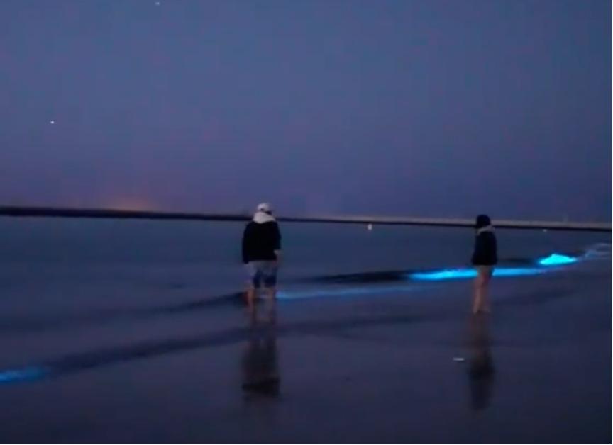 第一批“白人度假”的中产，已经后悔了