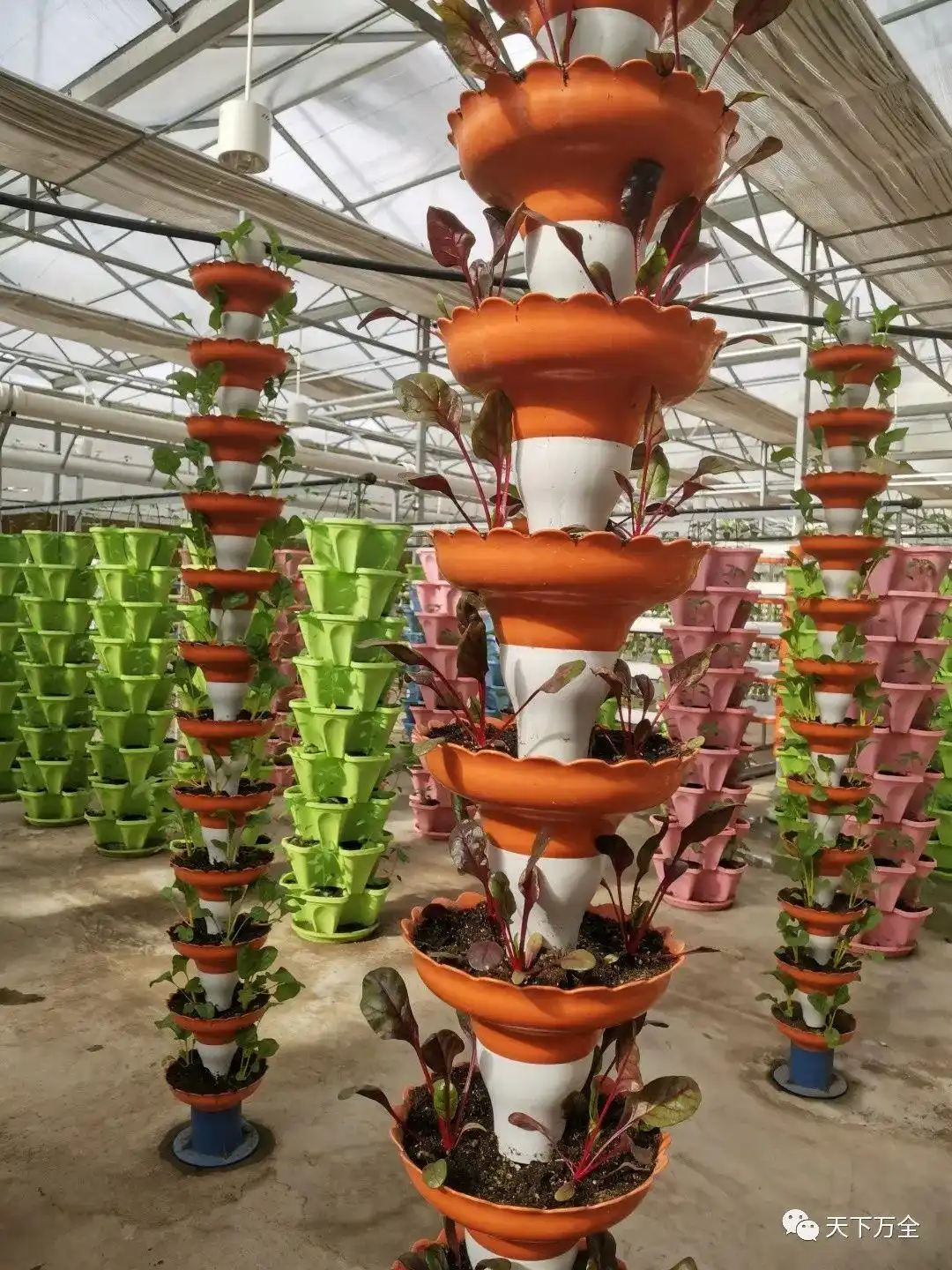 乡村旅游调研日记｜走进安家堡乡与郭磊庄镇