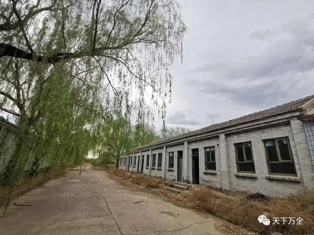 乡村旅游调研日记｜走进安家堡乡与郭磊庄镇