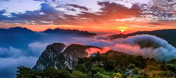 走进“悠”然庐山避暑度假 夏季六大主题游线路在沪发布