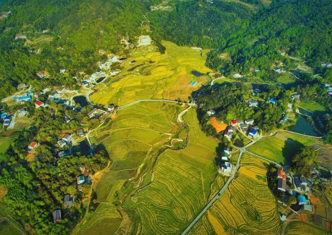 望城，一个全域文旅融合的非典型样本