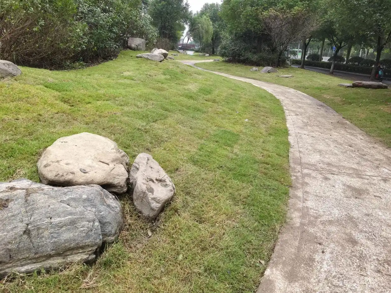 六安露天小公园“华丽转身”，已被改造成微型景点