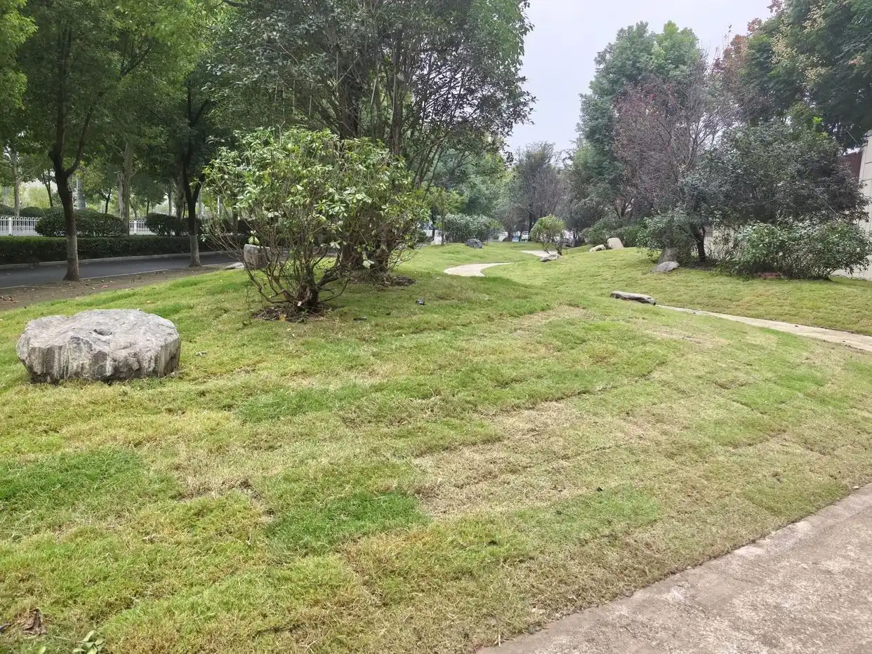 六安露天小公园“华丽转身”，已被改造成微型景点