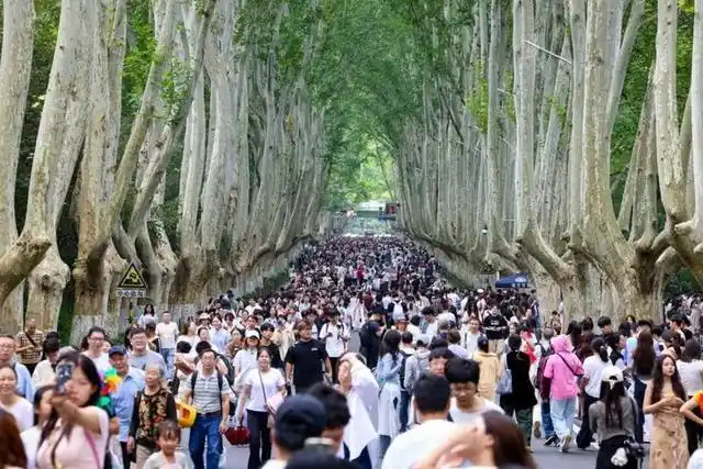 国庆中秋假期，南京夫子庙景区再夺全国第一！