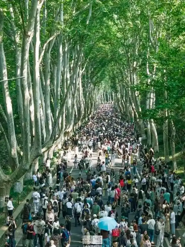 国庆中秋假期，南京夫子庙景区再夺全国第一！