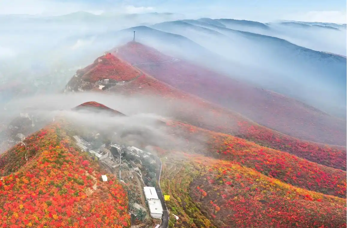 河南这家景区分车牌分时段面向全国免门票、免索道票！