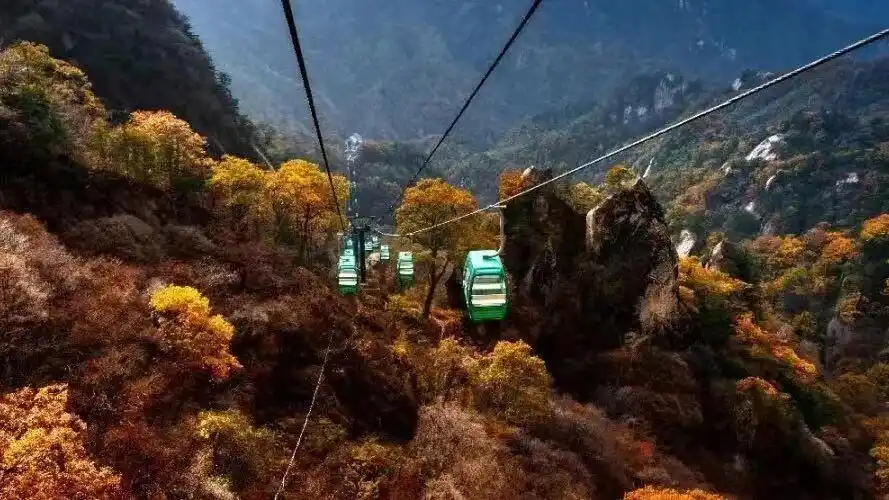 河南这家景区分车牌分时段面向全国免门票、免索道票！