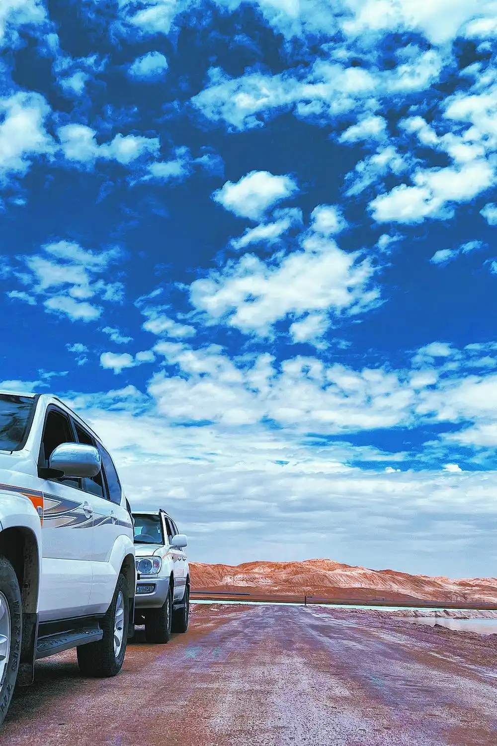 从“网红”到“长红”，不止一步之遥