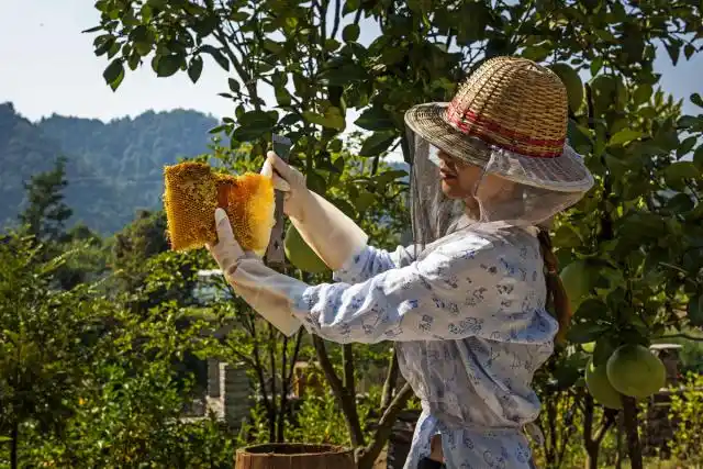 淳安金峰：打造“爱情”主题旅游品牌 助力乡村旅游业快速发展