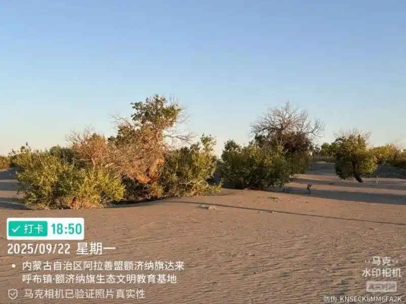 文旅乱象调查：“阴阳合同” 坑游客，五星酒店变招待所！三招依法维权