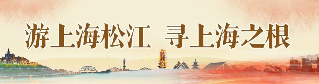 2025上海佘山森林旅游季来了！有啥好玩的，戳这篇→
