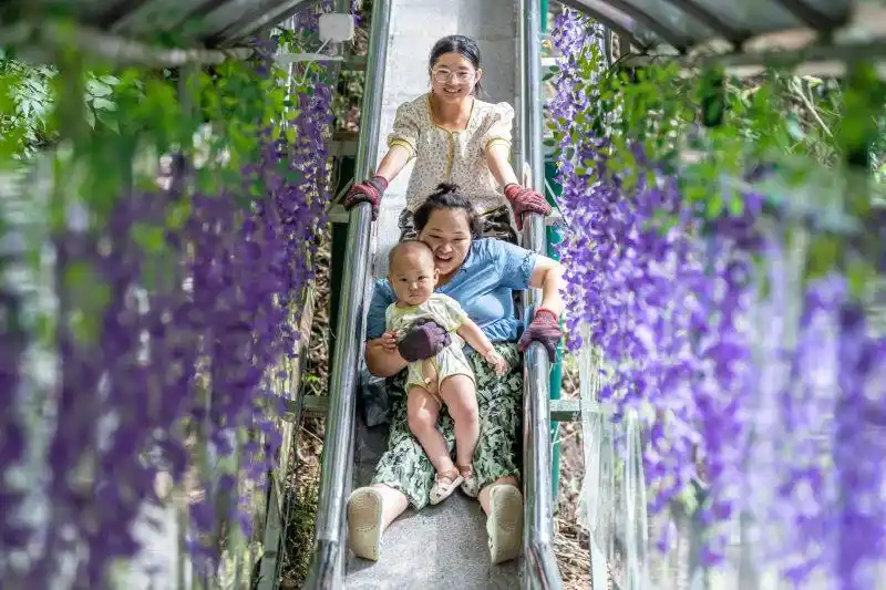 门票全免！重庆江津四面山官宣“渝超”重磅福利