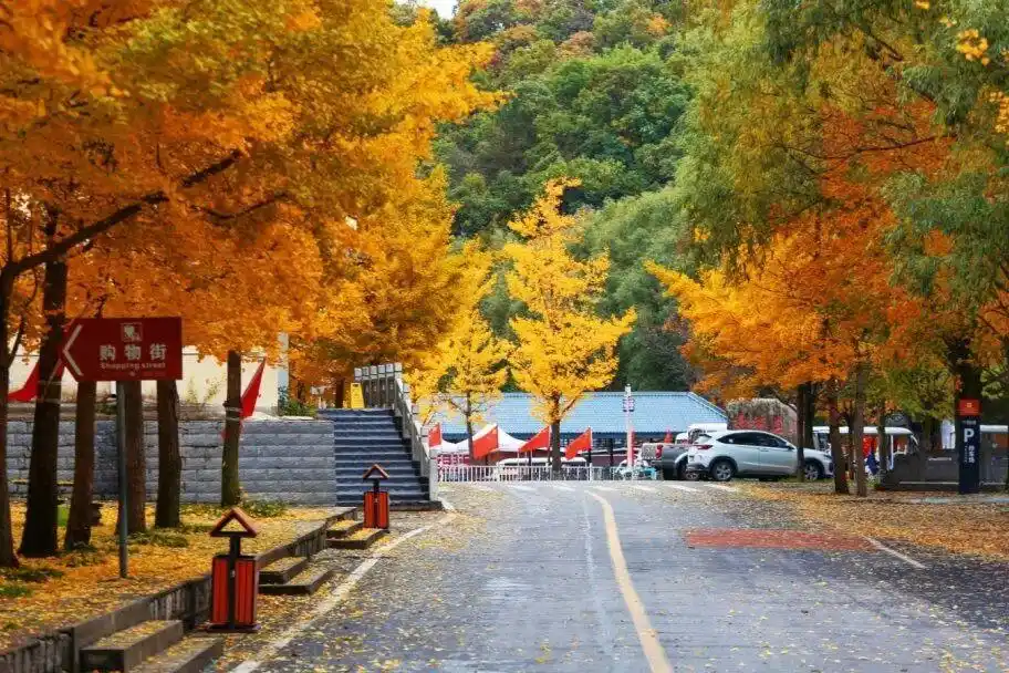 周末约起！郑州周边赏红叶好去处推荐！