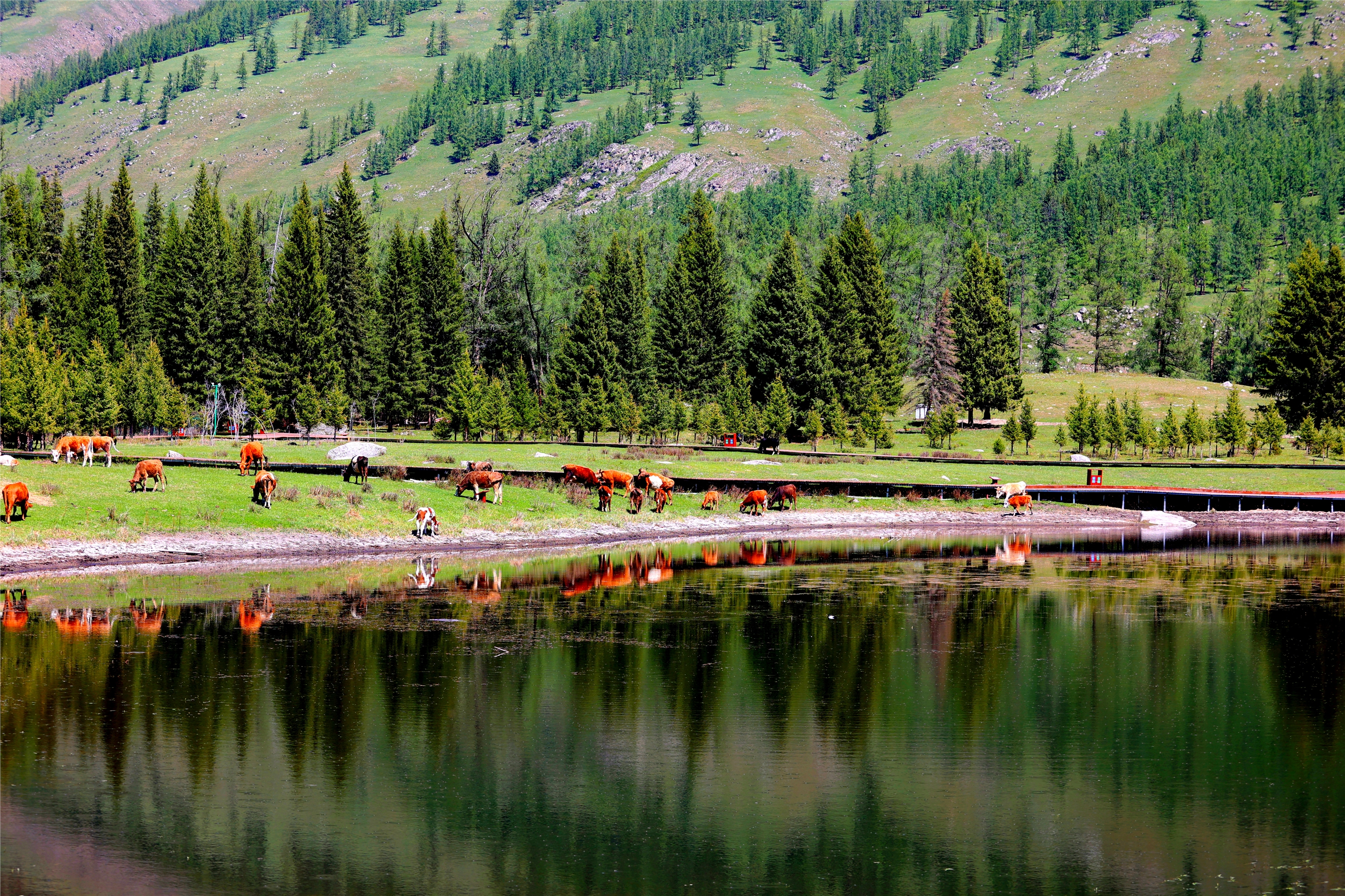 小石榴说科普·山水林田湖草沙之湖②丨为什么说喀纳斯湖是神奇的"变色湖"？