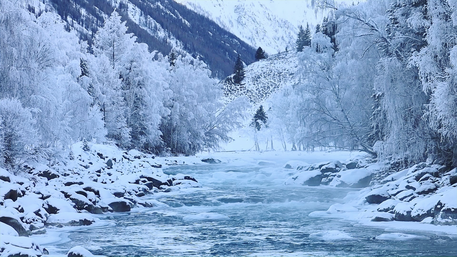 小石榴说科普·山水林田湖草沙之湖②丨为什么说喀纳斯湖是神奇的"变色湖"？