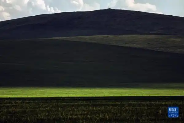 呼伦贝尔大草原夏日即景