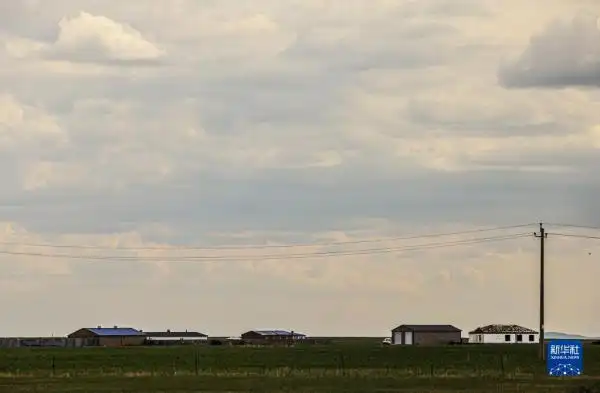 呼伦贝尔大草原夏日即景