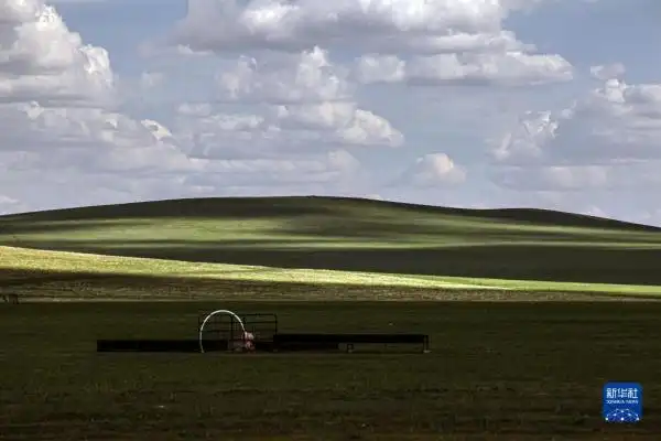 呼伦贝尔大草原夏日即景