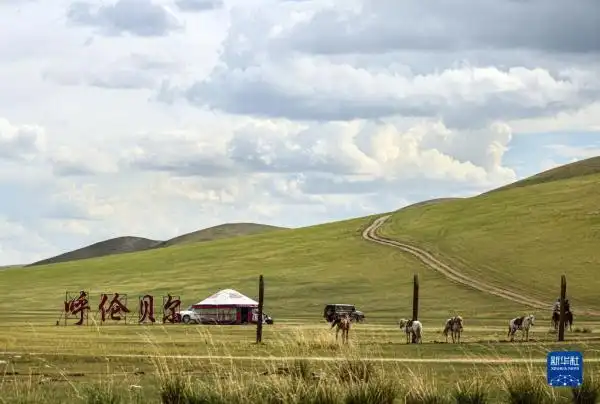呼伦贝尔大草原夏日即景