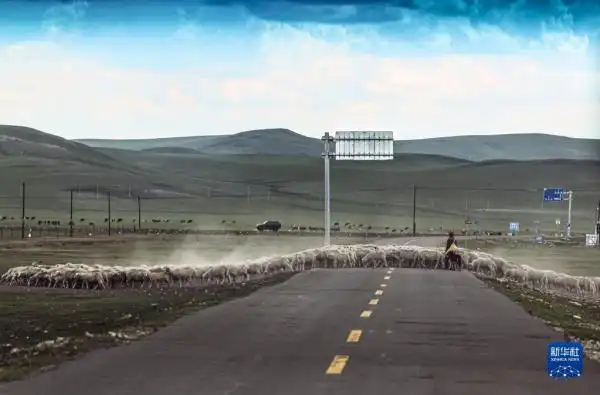 呼伦贝尔大草原夏日即景