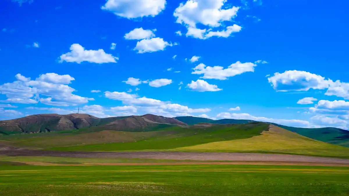 初夏呼伦贝尔草原