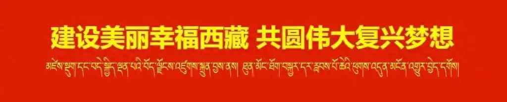 「辉煌60年·新时代西藏答卷」林芝：从边陲小城到雪域明珠 经济民生实现历史性跨越